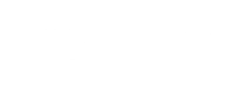 Item 1